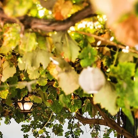 Vine Terrace * Lizbona