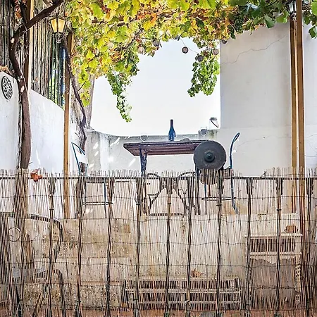 Vine Terrace *