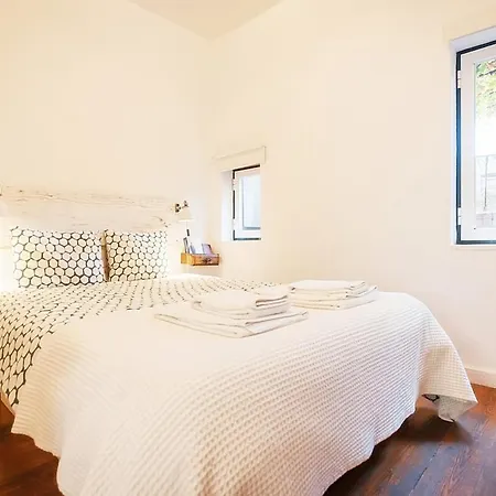Vine Terrace Apartment